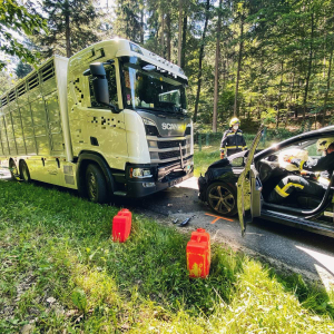 PKW frontal gegen Viehtransporter