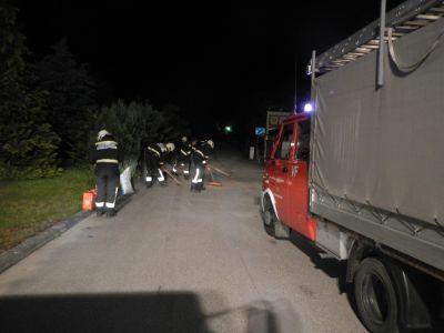 DSCN0937