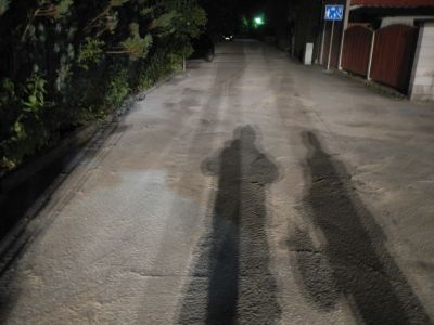 DSCN0941