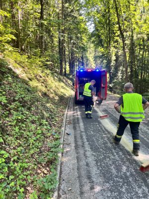 4e5aaef8 13af 4e75 B0e5 89e1cad08091